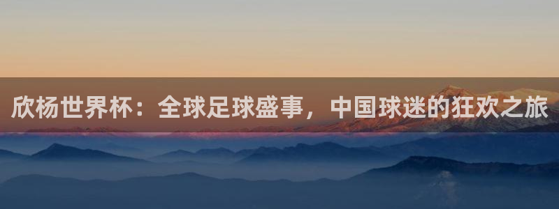 亚洲区世界杯预选赛：欣杨世界杯：全球足球盛事，中国球迷的狂欢之旅
