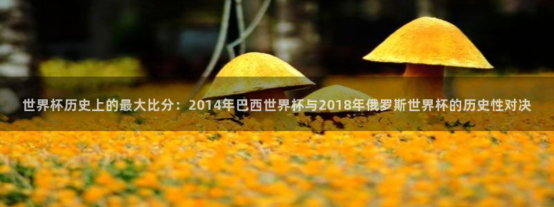 2006年世界杯：世界杯历史上的最大比分：2014年巴西世界杯与2018年俄罗斯世界杯的历史性对决
