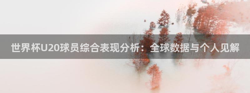 2026世界杯南美区积分榜：世界杯U20球员综合表现分析：全球数据与个人见解