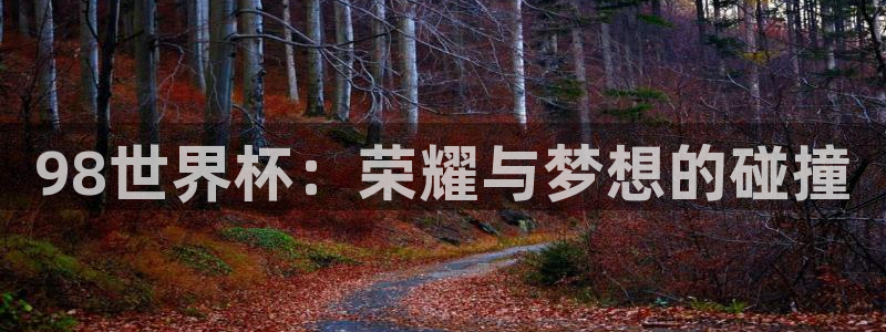 今年世界杯：98世界杯：荣耀与梦想的碰撞