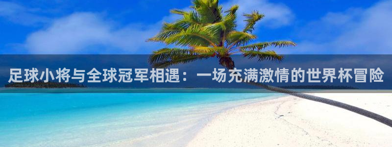 世界杯球队排名：足球小将与全球冠军相遇：一场充满激情的世界杯冒险