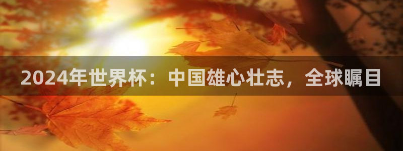 世界杯比赛时间：2024年世界杯：中国雄心壮志，全球瞩目